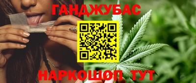 спиды Бердск