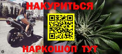 спиды Бердск