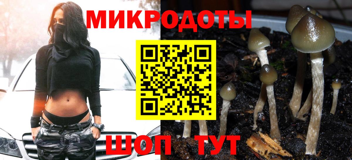 Галлюциногенные грибы прущие грибы Белогорск