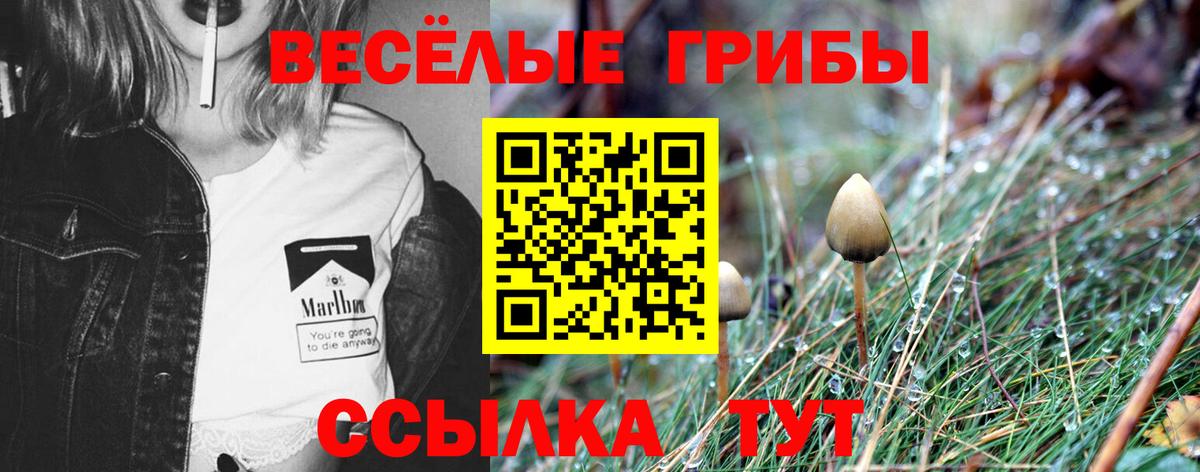 Белогорск  Псилоцибиновые грибы GOLDEN TEACHER  Вход с VPN 